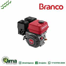 MOTOR B4T 5.5 H