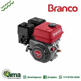 MOTOR B4T 6.5